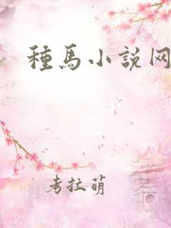 种马小说网