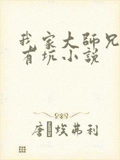 我家大师兄脑子有坑小说