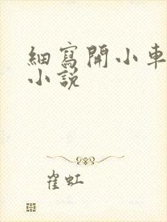 细写开小车车的小说