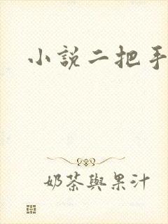 小说二把手
