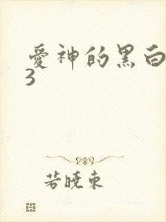 爱神的黑白羽翼3