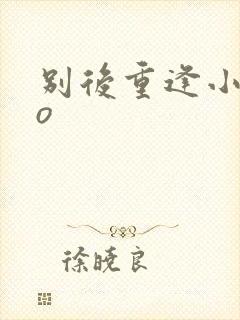 别后重逢小说po