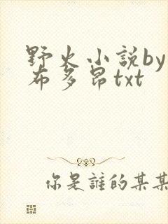 野火小说by夏布多昂txt