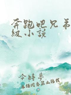 奔跑吧兄弟限制级小说