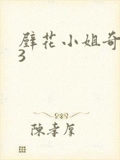 壁花小姐奇遇记3