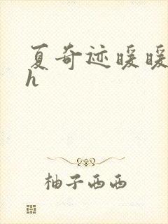 夏奇迹暖暖快穿h