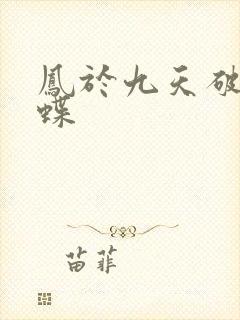 凤于九天破茧成蝶