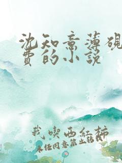 沈知意薄砚霆免费的小说