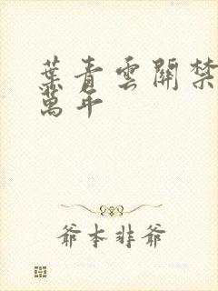 叶青云关禁闭一万年