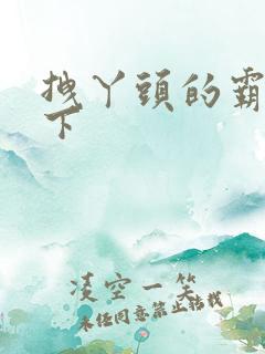 拽丫头的霸道殿下