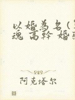 以婚为名 (军魂 高干 婚恋)