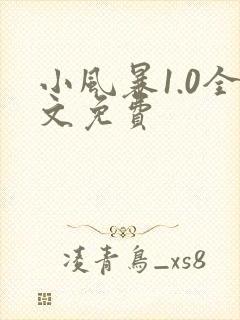 小风暴1.0全文免费