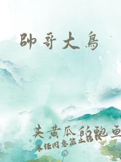 帅哥大鸟