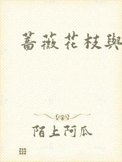 蔷薇花枝与灰烬