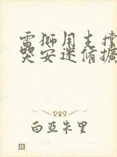 雷狮用支撑器玩哭安迷修扩张