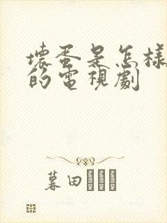 坏蛋是怎样变成的电视剧