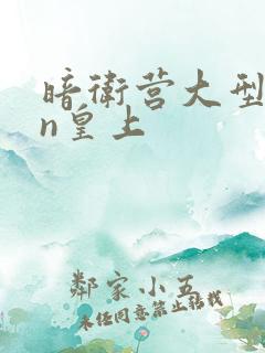 暗卫营大型hpn皇上