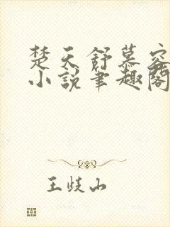 楚天舒慕容江月小说笔趣阁