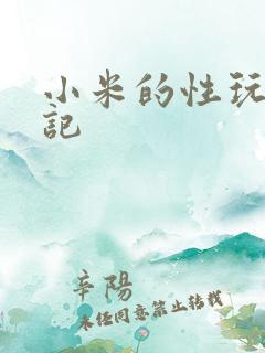 小米的性玩具日记