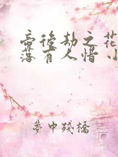 帝后劫之花开花落有人惜 小说