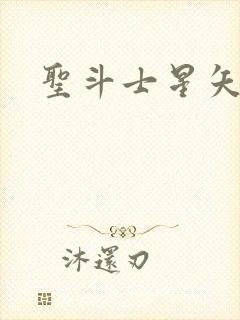 圣斗士星矢小说