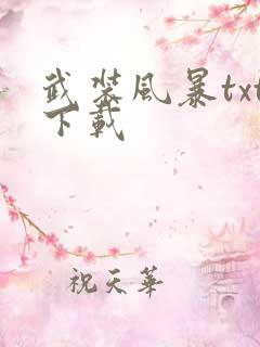武装风暴txt下载