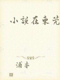 小说在东莞