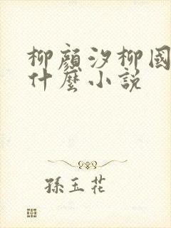 柳颜汐柳国安是什么小说