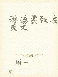 淋漓尽致夜晚小爽文