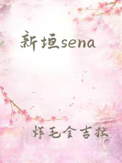 新垣sena