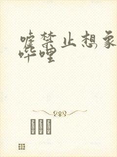 嘘禁止想象哔哩哔哩