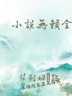 小说无赖金仙