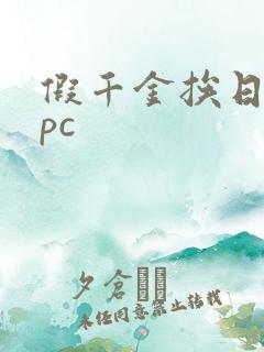假千金挨日记npc