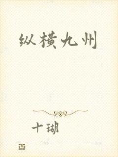 纵横九州