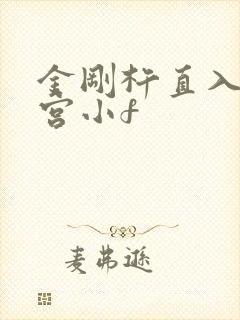 金刚杵直入莲花宫小f