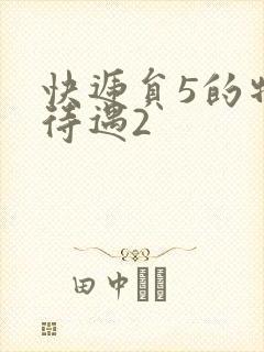 快递员5的特殊待遇2