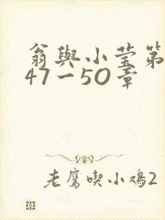 翁与小莹第十部47一5O章