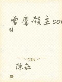 雪鹰领主sodu
