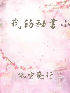我的秘书小姐