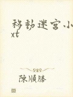 移动迷宫小说txt