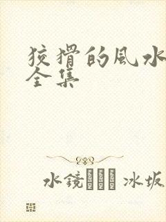 狡猾的风水相师全集