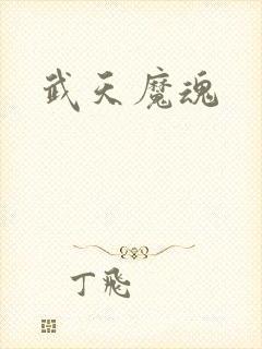 武天魔魂