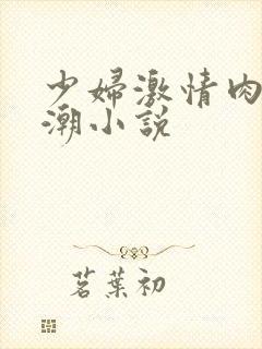 少妇激情肉欲高潮小说