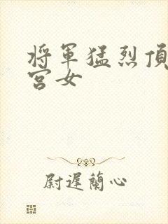 将军猛烈顶弄h宫女