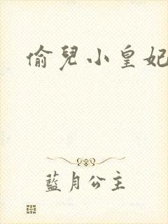 偷儿小皇妃