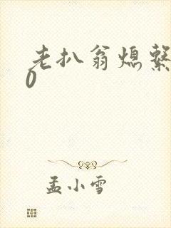 老扒翁熄系列40