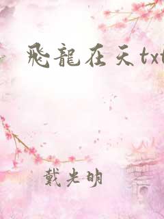 飞龙在天txt