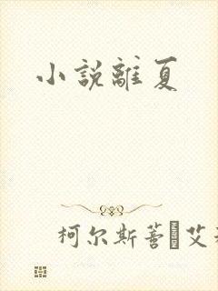 小说离夏