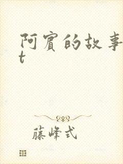 阿宾的故事txt