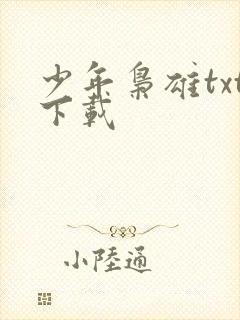 少年枭雄txt下载